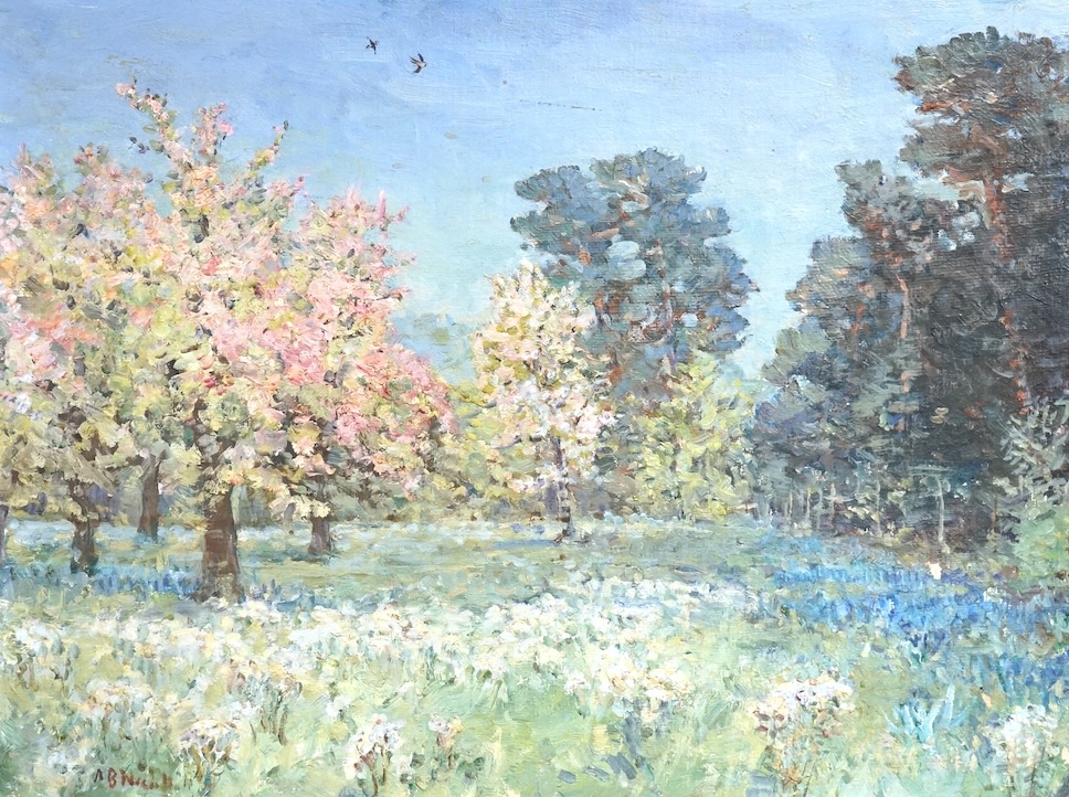 A. B. Nicholl ?, Impressionist oil on board, Woodland glade, signed, 44 x 59cm